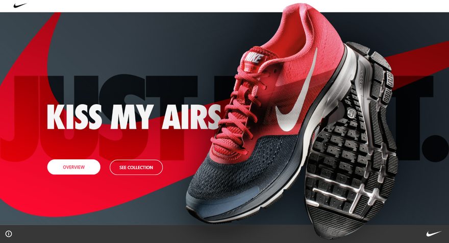 Nike demo report